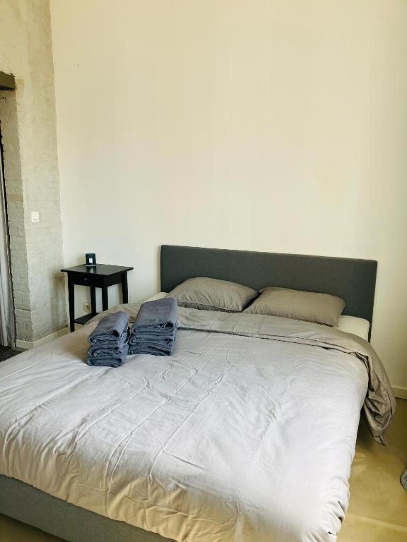 Living History - Suikernest Aparthotel Antwerpen Bagian luar foto