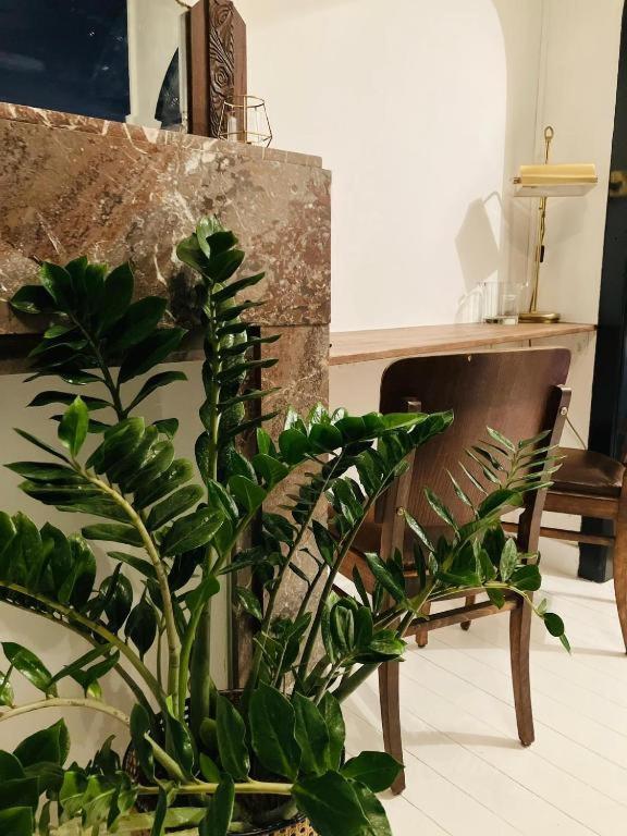 Living History - Suikernest Aparthotel Antwerpen Bagian luar foto