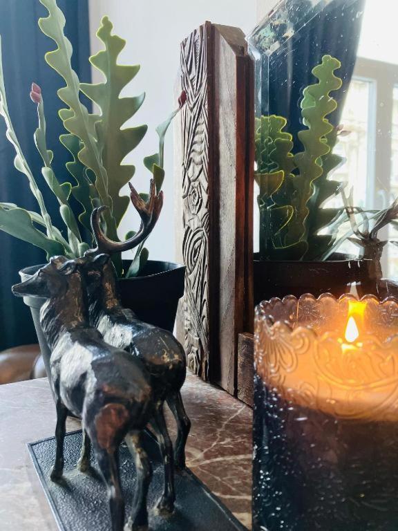 Living History - Suikernest Aparthotel Antwerpen Bagian luar foto