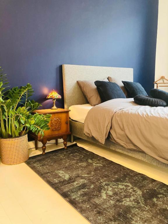 Living History - Suikernest Aparthotel Antwerpen Bagian luar foto